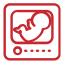 icon service six