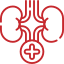 icon service six